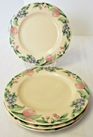 Pfaltzgraff Garden Party Dinner Plates 10 - 1/2 " Set Of Four Discontinued