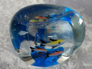 Vintage Glass Aquarium Paperweight Fish Italian Mid Century Modern