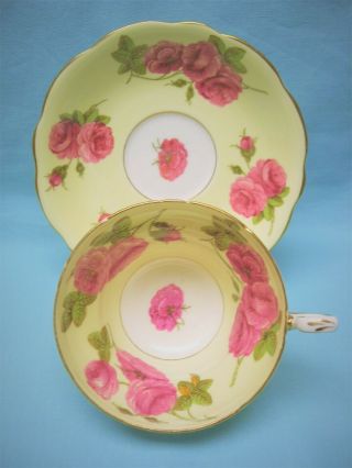 Foley China Deep Pink Roses on Pale Yellow Cup and Saucer 3