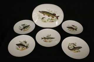 Vintage Western Germany Jwk Fine Porcelain Fish Dinner Plates X 5,  Platter