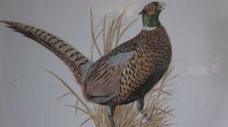 Centura CORNING Platter Game Birds Ring Necked Pheasant Singer 12 