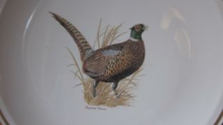 Centura CORNING Platter Game Birds Ring Necked Pheasant Singer 12 