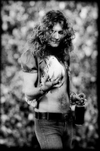 Led Zeppelin Robert Plant With Holding Dove Live In Concert Photo Poster Print