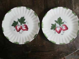 Pair 2 Vtg Blue Ridge Southern Potteries Usa Wild Strawberry Dinner Plates Great
