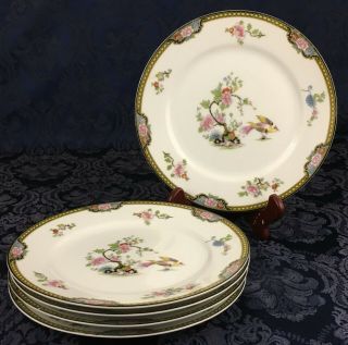 Set Of 5 Vintage Noritake China Pheasant Pattern 8 1/2 " Lunch Salad Plates