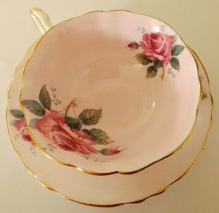 Paragon Pink Rose Teacup & Saucer Double Warrent Mark C1940