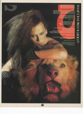 Pete Burns Dead Or Alive - That,  S The Way - A4 Poster Advert 1984