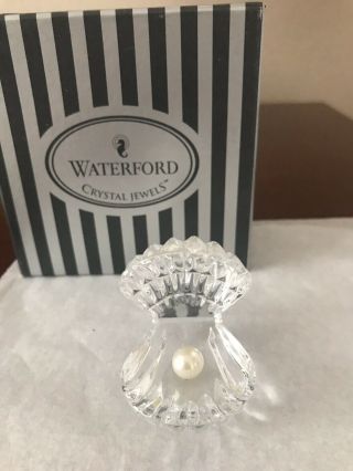 Waterford Crystal Treasure Of The Sea Shell With Pearl Oyster