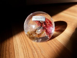 Waterford Crystal Paperweight—evolution: Clear Glass " Cosmic Fire " With Tags