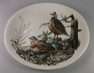 Johnson Brothers Game Birds 2 Oval Dinner 11 1/8 " Wild Turkey And Quail - Crazed