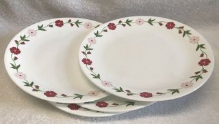 4 Corelle Spring Pink Dinner Plates 10 - 1/4 " White W/red Flower Garland Trim Euc