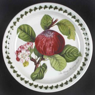 Portmeirion Pomona Hoary Apple Salad Plate With Border 5520575
