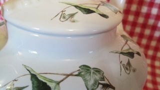 Pink Rose Teapot England Arthur Wood 6426 Decorative Porcelain White W Green 5