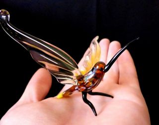 Murano Italy Style 2.  75 " Amber Art Glass Figurine Hummingbird Bird Ornament A