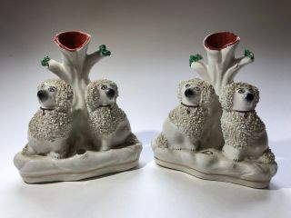 Vintage 5 - 1/2 " Staffordshire Ware Dogs Poodles Spill Vase - England