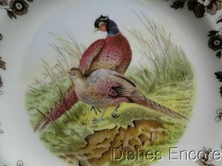 Spode Woodland Pheasant Game Bird,  England: Salad Plate (s),  7 3/4 