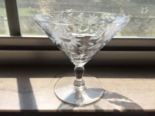 Vintage Etched Glass Martini Cocktail Glass,  Leaf,  Flower,  And Berry,