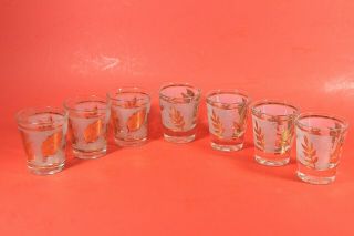 Set Of 7 Vintage Libbey Frosted Clear Gold Leaf Shot Glasses Mid - Century Mcm
