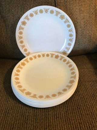 Eight (8) Corelle Butterfly Gold 8 1/2” Lunch/salad Plates