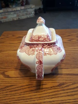 Masons Pink Vista square Gadroon Teapot with Lid - 2