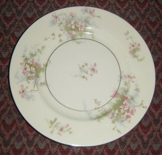 Set Of 3 Theodore Haviland York Apple Blossom Salad Plates