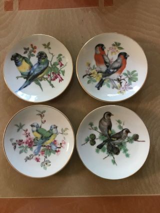 Vintage Set Of 4 Bird Mini Wall Plates Hanging Made In Japan Gold Rims - 4 "
