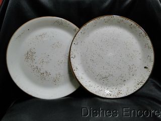 Steelite Performance Craft,  England: White Coupe Dinner Plate (s),  10 