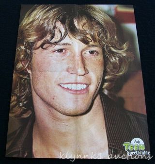 Andy Gibb sexy shirtless Vintage Poster Centerfold / Andy Gibb on back 1970 ' s 2