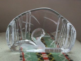 Mats Jonasson Duck Loon In Reeds,  Crystal Paperweight,  Etched / Signed