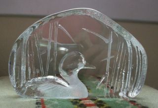 Mats Jonasson duck loon in reeds,  crystal paperweight,  etched / signed 2