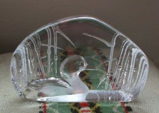Mats Jonasson duck loon in reeds,  crystal paperweight,  etched / signed 3