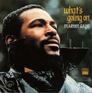 Marvin Gaye Poster What 