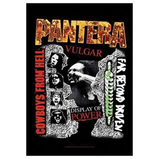 Pantera 3 Albums Tapestry Cloth Poster Flag Wall Banner 30 " X 40 "