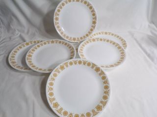 Set Of 7 Corelle By Corning,  Gold Butterfly 10 1/4 Inch Dinner Plates
