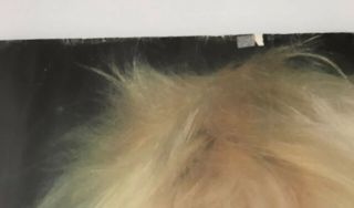Blondie/ Debbie Harry - Large Poster 2