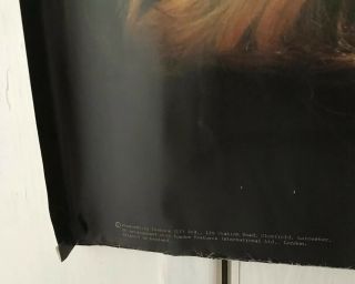 Blondie/ Debbie Harry - Large Poster 5