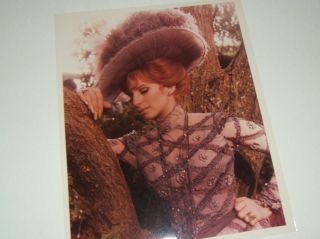 Barbra Streisand Rare 8x10 Photo