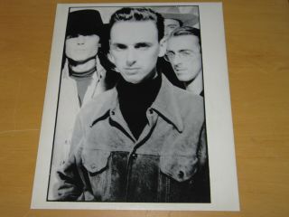 The Lilac Time - Uk Promo Press Photo - 10 X 8 Inches