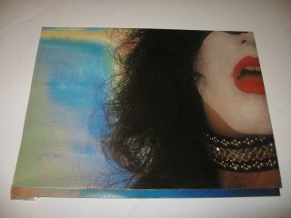 Vintage 1970 ' s Paul Stanley of KISS 8 - Page Fold Out Poster with Makeup Roses 4