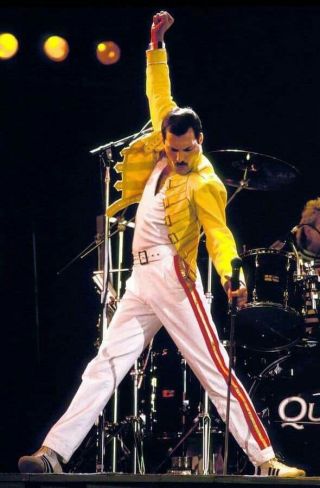 Freddie Mercury Queen Live Aid Concert 8x11 Photo Reprint Rp