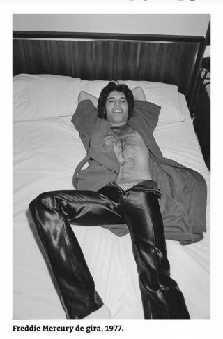 Freddie Mercury Queen Sexy In Bed 8x11 Inch Glossy Photo Reprint Rp