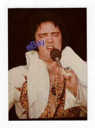 Elvis Presley Concert Photo - The Final Curtain 1977 - Jim Curtin