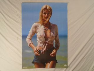 Olivia Poster Wet Shirt Large Breasts Girl Cutoff Jeans Pinup