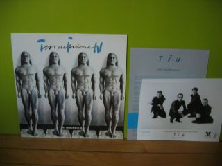 Tin Machine Ii Press Kit,  1991,  David Bowie,  Deluxe Classic Official 8x10 Photo