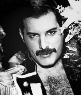 Freddie Mercury Queen Sexy Photo 8 X11 Inch Hot