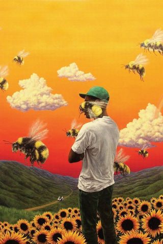 Tyler The Creator Flower Boy 24 " X 36 " Large West Coast Hip Hop Music Poster