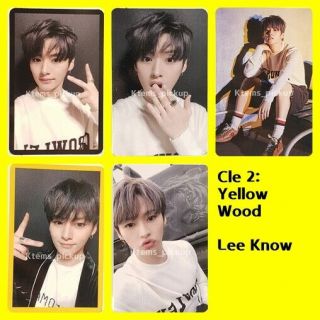 Stray Kids Photocard Album Yellow Wood Official Photo Card : Leeknow