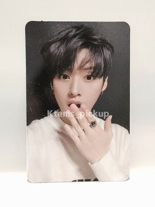 Stray Kids photocard album Yellow Wood Official Photo card : LeeKnow 4