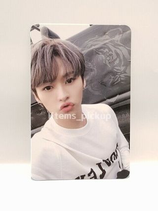 Stray Kids photocard album Yellow Wood Official Photo card : LeeKnow 5