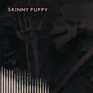 Skinny Puppy Remission Album Cover Art Print Poster 12 X 12